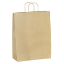 SAC PAPIER KRAFT BRUN POIGNEES TORSADEES