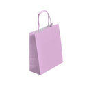 SAC PAPIER PM - 22+10x 31cm Couleur 90gr POIGNEES TORSADEES PAR 50