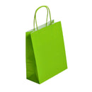Sac PAPIER MM- 35x14x44cm COULEUR 100 gr POIGNEES TORSADEES PAR 50