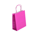 SAC PAPIER PM - 22+10x 31cm Couleur 90gr POIGNEES TORSADEES PAR 50