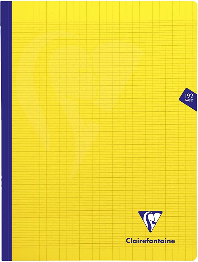 cahier broché cousu fil Mimesys 192 pages 24x32 cm 90g grands carreaux, couverture polypro couleur aléatoire