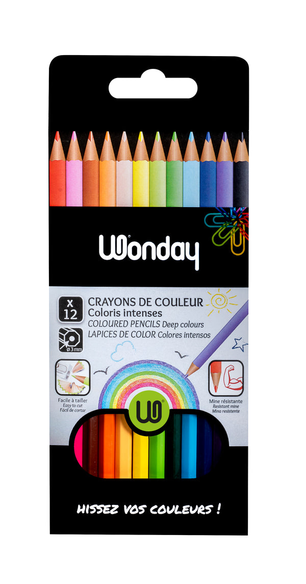 CRAYONS DE COULEUR ASSORTIS HAUTE QUALITÉ HEXAGONAUX 18 CM 12U