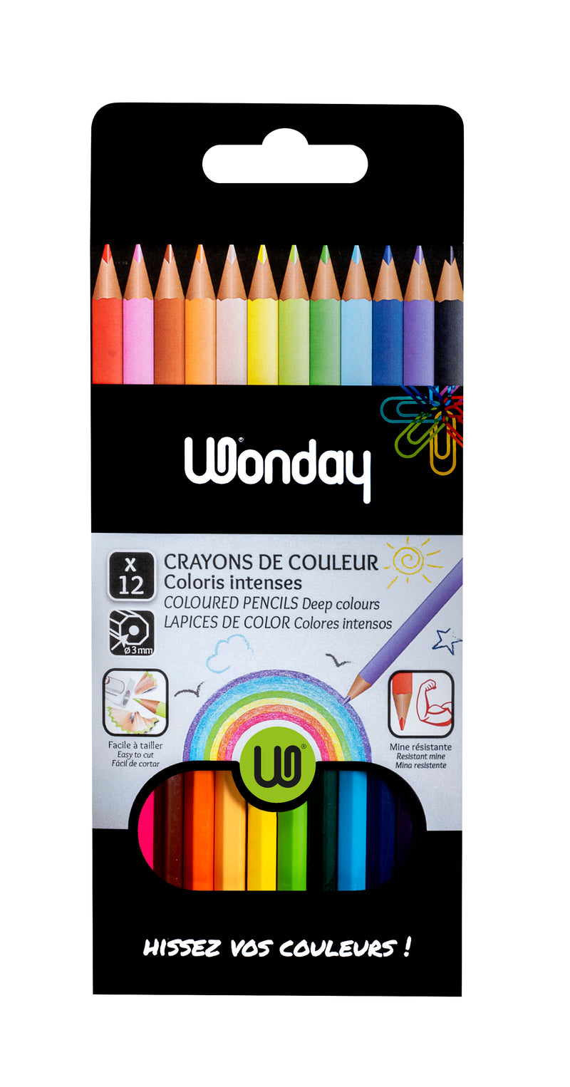 CRAYONS DE COULEUR ASSORTIS HAUTE QUALITÉ HEXAGONAUX 18 CM 12U